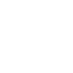 Trip Advisor - Certificate