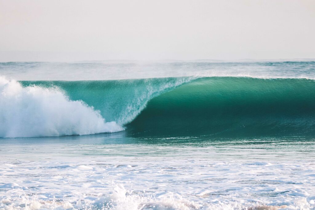Perfect wave forming on Lower Trestles Beach