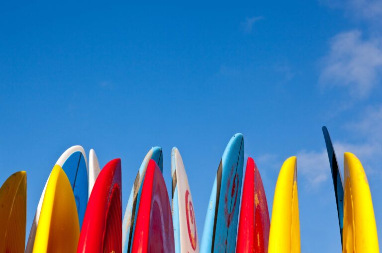 Assortment of different types of surfboards lined up in a row